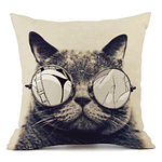 Szemüveges cica